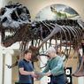 Hari Ini dalam Sejarah: Kerangka T-Rex Ditemukan di South Dakota