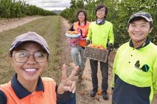 Liburan Sambil Bekerja di Australia? Begini Kisah Anak Muda Indonesia