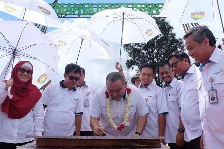 Antam inisiasi kembangkan Taman Buah Nusantara 