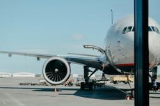 KLH Pastikan Debu Radiasi dari Pemusnahan Udang Terkontaminasi Cesium-137 Tak Tersebar