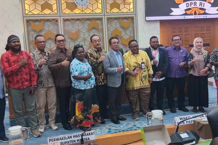 Alasan Komisi IV DPR Bentuk Tim Khusus Limbah Tambang di Mimika, Jadi Persoalan sejak 1967