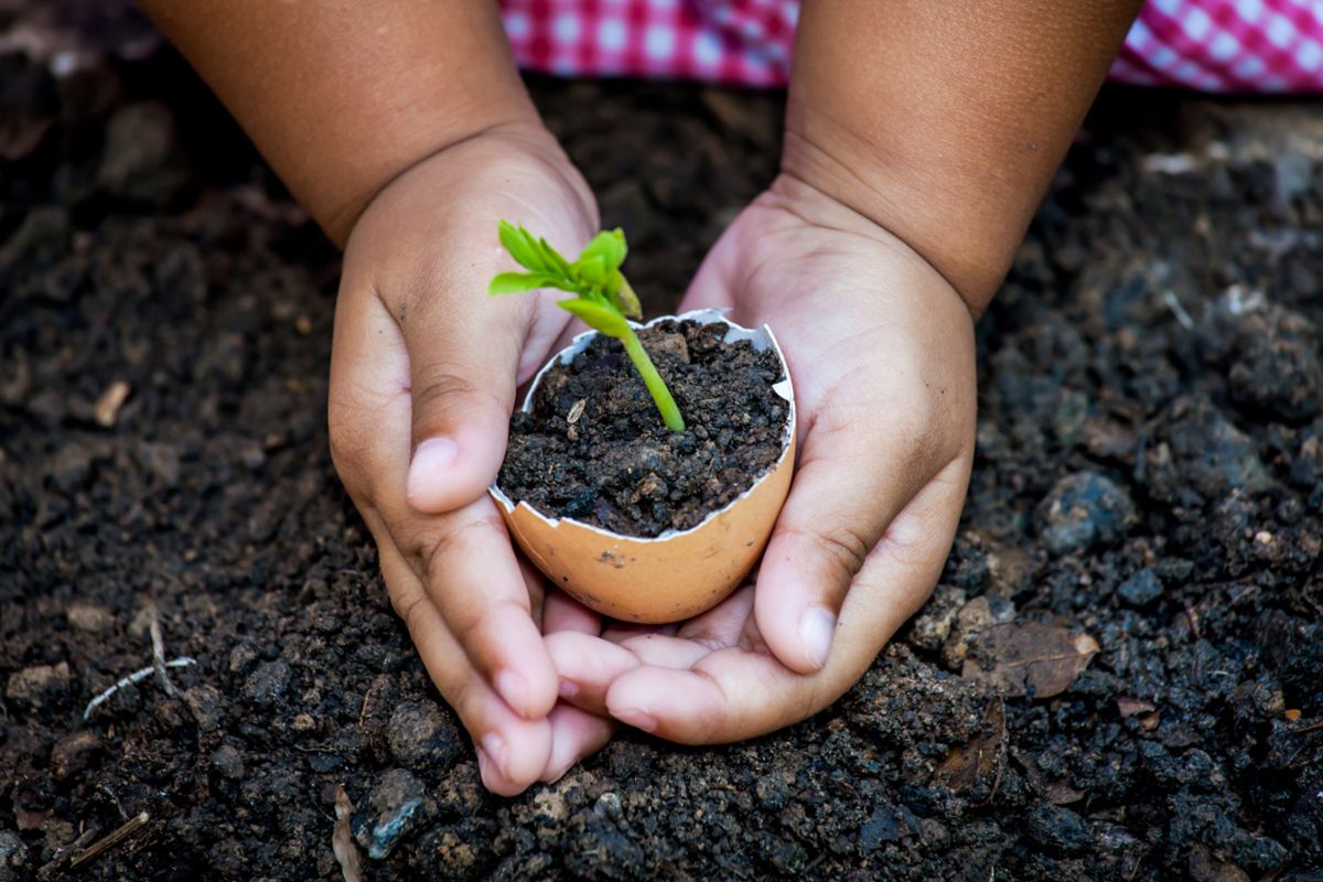 Mengajari anak mencintai lingkungan dengan berkebun