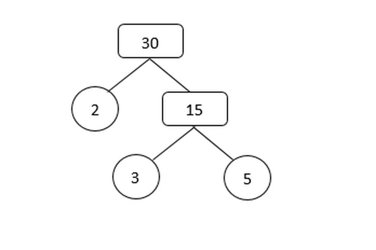 Pohon faktor bilangan 30