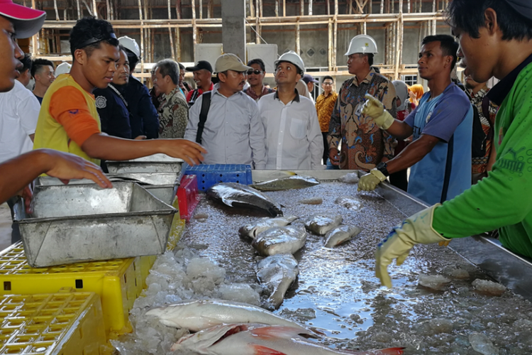 Pekerja memilah ikan yang akan disimpan di cold storage milik PT Neptuna, Selasa (29/5/2018)
