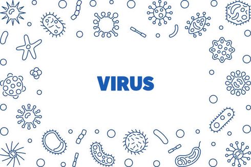 Pengertian Virus, Ciri-ciri, dan Caranya Menginfeksi Manusia