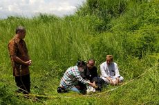 Perkembangan Terbaru Kasus Pembunuhan Iwan Boedi, Gambaran Pelaku Ditemukan, tapi...