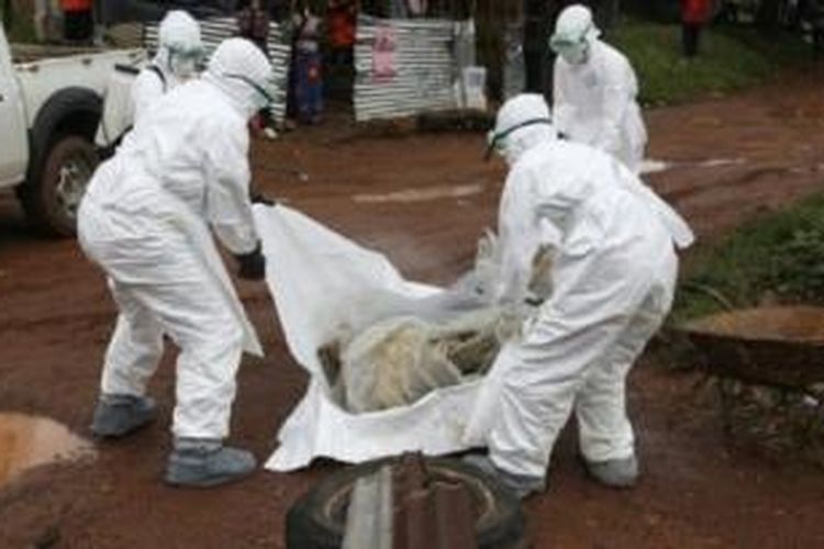 WHO menyatakan status darurat global terkait penyebaran virus ebola