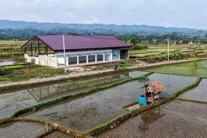 Kopdes Merah Putih Belum Siap, Gaji PNS Sudah Diincar
