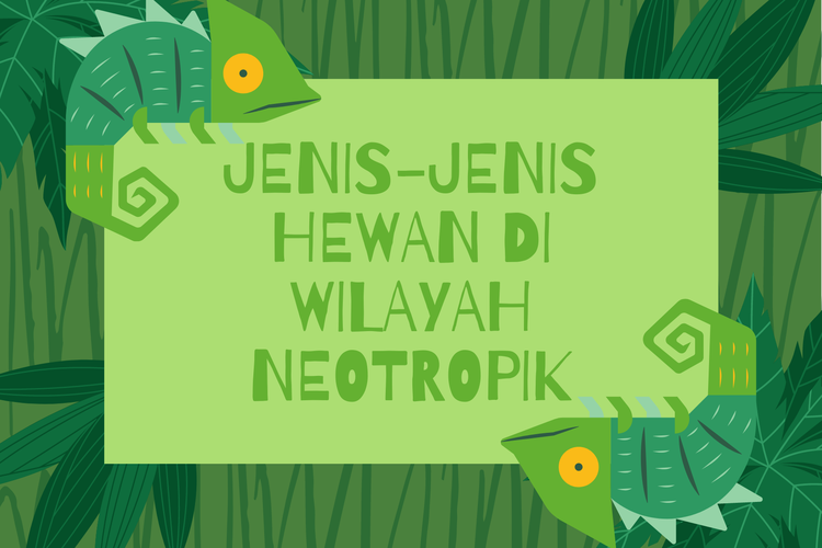 Jenis-jenis hewan di wilayah neotropik