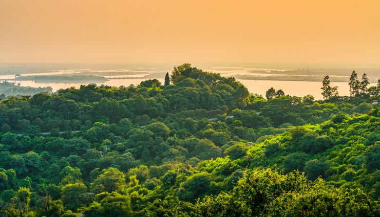 Norwegia Suntik Bantuan, Tanjabtim Hijaukan 475 Hektar Hutan dan Benteng Pesisir