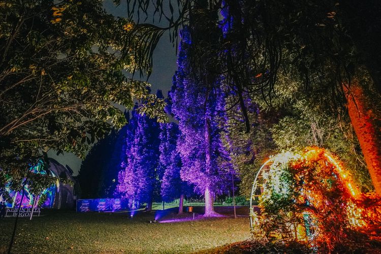 Glow Kebun Raya menawarkan pengalaman melihat keindahan Kebun Raya di malam hari.