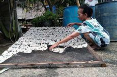 Menerka Efektivitas Program Makan Siang Gratis bagi Masyarakat Pesisir