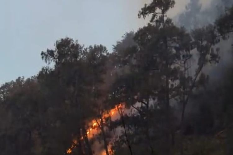 Titik Api Masih Terlihat di Lereng Gunung Arjuno, Water Bombing Terkendala Cuaca