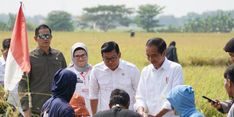 Setelah Subang, Plt Mentan Dampingi Presiden Jokowi Panen Raya di Indramayu