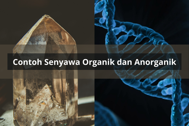 Intan adalah contoh senyawa anorganik, sedangkan DNA adalah contoh senyawa organik