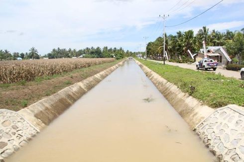 Kementan Lakukan Rehabilitasi Jaringan Irigasi Tersier di Kabupaten Pati, Begini Hasilnya