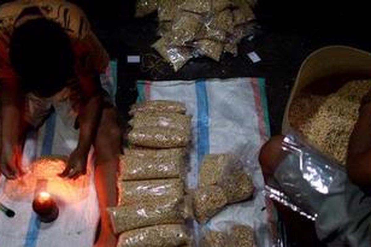 Perajin tempe mengemas biji kedelai yang siap di fermentasi di Desa Cimanggu Barat, Kecamatan Tanah Sereal, Bogor, Jawa Barat, Senin (16/7/2012). Perajin tempe mengeluhkan semakin melambungnya harga kedelai impor dalam beberapa bulan terakhir dari Rp. 5500/kg dan kini menjadi Rp. 7700/kg. Sehari industri rumahan yang berdiri sejak tahun 1976 ini membutuhkan enam kuintal kedelai untuk produksi. 