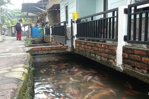 Menengok Kampung Ramah Lingkungan di Bogor, Selokan Berair Jernih dan Penuh Ikan