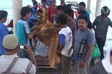 TKI Ilegal dari Nunukan Meninggal karena Kecelakaan di Sabah