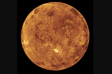 [KLARIFIKASI] Foto Venus Dibuat Pakai Bahasa Pemrograman dan Photoshop