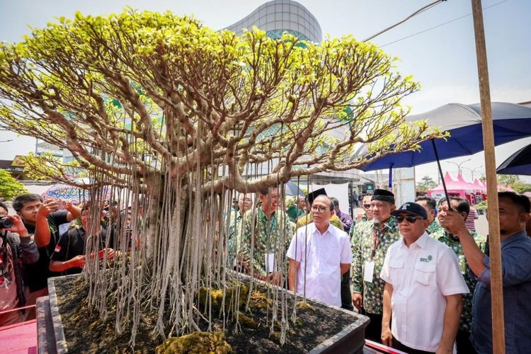 Menkop dan UKM Teten Masduki (kedua dari kanan) sedang menyaksikan hasil kreativitas pembudi daya bonsai yang dipamerkan di Munas Ke-10 PPBI.