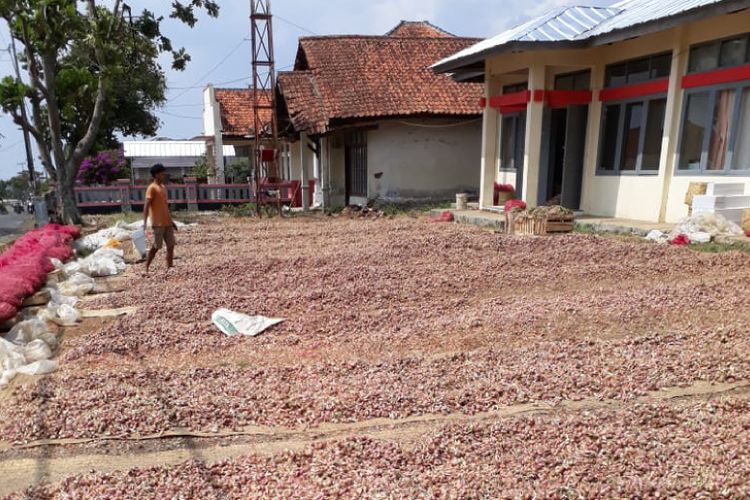 Bawang Sumenep andalan produk ekspor petani Kecamatan Argapura, Majalengka. Sejak 2015, ekspor bawang ini terhenti karena perubahan ongkos kemasan dari hanya Rp 12.000 menjadi Rp 300 ribu. Meski demikian bawang Sumenep produk Argapura yang dikenal paling unggul ini, masih terserap pasar domestik.