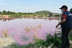 Polusi Limbah Bikin Air di Laguna Paraguay Berwarna Ungu, Kok Bisa?