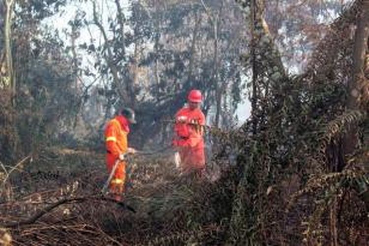 Petugas Kementerian Kehutanan memadamkan kebakaran hutan di Pekanbaru, Riau, 320 kilometer dari Singapura, 20 Juni 2013. Kebakaran hutan ini mengakibatkan kabut asap menyelimuti negara tetangga.