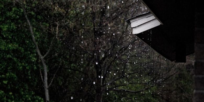 Shubhashree sahu xxnx