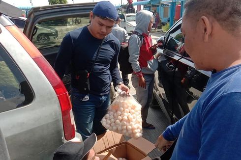 Polisi Gagalkan Pengiriman 6.266 Butir Telur Penyu dari Kepri ke Kalbar via Kapal, 2  Ditangkap