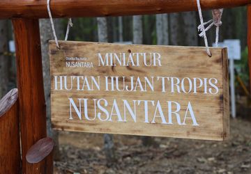 Perusahaan AMDK Dukung Pembangunan Miniatur Hutan Hujan Tropis di IKN