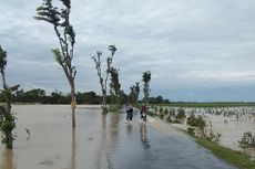 Rawan Banjir, Kementan Minta Petani Asuransikan Sawahnya
