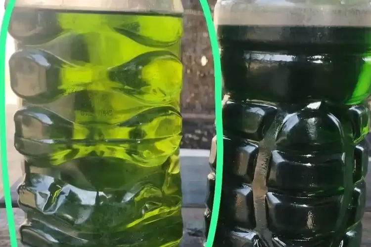 Viral Motor Rusak Usai Isi BBM di Bintan, SPBU Akui Pertalite Tercampur Solar