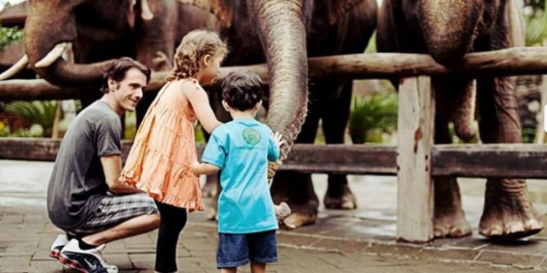 Bali Zoo atau Kebun Binatang Bali berlokasi di Desa Singapadu, Gianyar. 