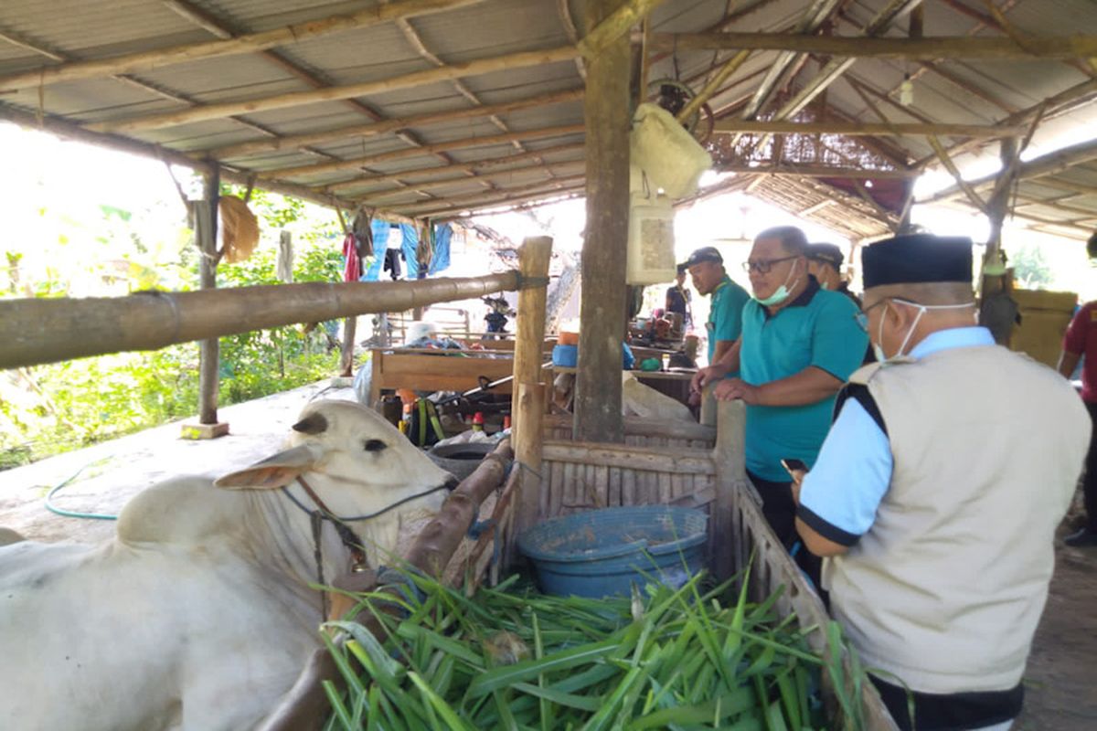 Forkopimcam Panceng, Gresik, saat melakukan door to door ke kandang untuk memeriksa hewan ternak jelang Idul Adha, Jumat (8/7/2022). *** Local Caption *** Forkopimcam Panceng, Gresik, saat melakukan door to door ke kandang untuk memeriksa hewan ternak jelang Idul Adha, Jumat (8/7/2022).