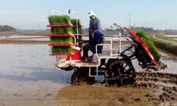 Kementan Dinilai Mampu Kendalikan Inflasi Sektor Pertanian, Pengamat Ekonomi Berikan Apresiasi