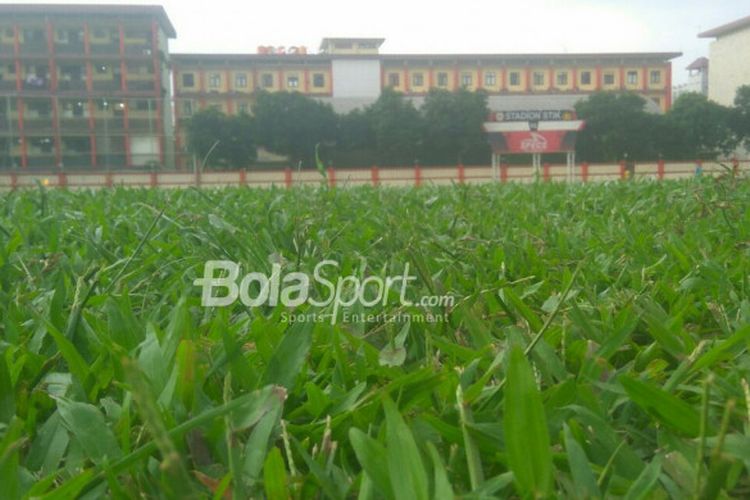 Lapangan di Stadion PTIK menggunakan jenis Rumput Gajah. 