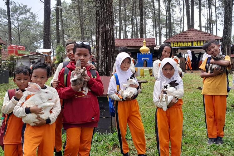Taman kelinci di Wisata alam Sirah Pemali di Brebes, yaitu wisata mata air di tengah hutan pinus yang dilengkapi dengan beragam wahana dan fasilitas. 
