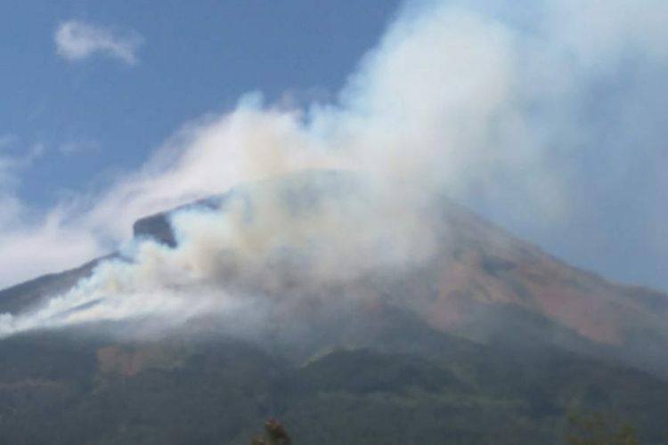 Kebakaran hutan dan lahan landa di Gunung Sindoro, Sabtu (8/9/2018). 