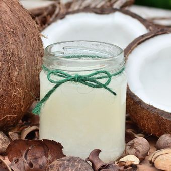 Ilustrasi kelapa, air kelapa. 