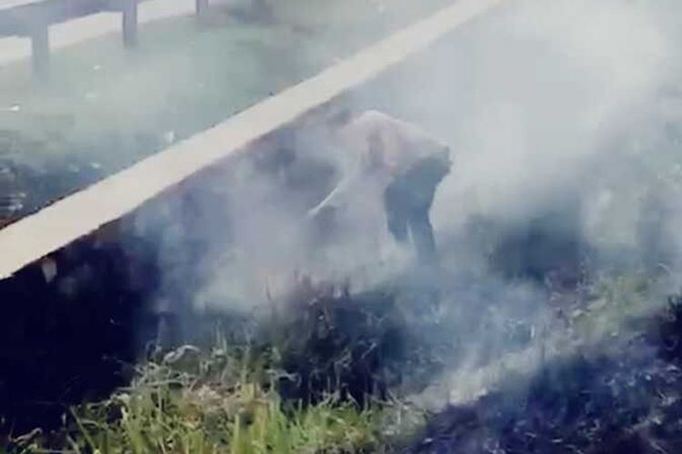 Video Kapolsek Telukjambe Timur Polres Karawang AKP Ryan Faisal sigap memadamkan api kebakaran ilalang di pinggir ruas jalan tol Jakarta-Cikampek Kilometer 42 viral di media sosial, Senin (31/10/2022).