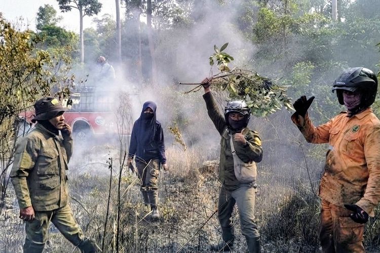 Kondisi Taman Nasional Way Kambas Memprihatinkan, Warga: Pohonnya Bisa Dihitung dengan Jari