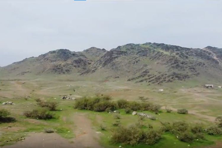 Video viral pegunungan Arab Saudi yang hijau, biasanya kering