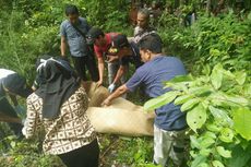 Seorang Gadis Berhijab Ditemukan Tewas di Hutan Jati