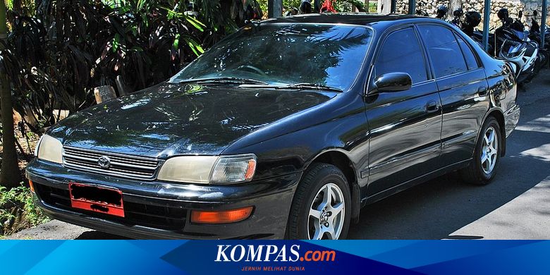 Bukan Virus Berbahaya Corona Satu Ini Dijual Mulai Rp 30 Jutaan