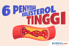 INFOGRAFIK: Penyebab Kolesterol Tinggi