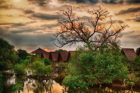 Rute ke Hutan Mangrove PIK, Bisa Naik Transjakarta