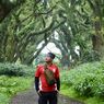 Tak Cuma Pantai, Hutan dan Kota di Banyuwangi Ramai Wisatawan Saat Long Weekend