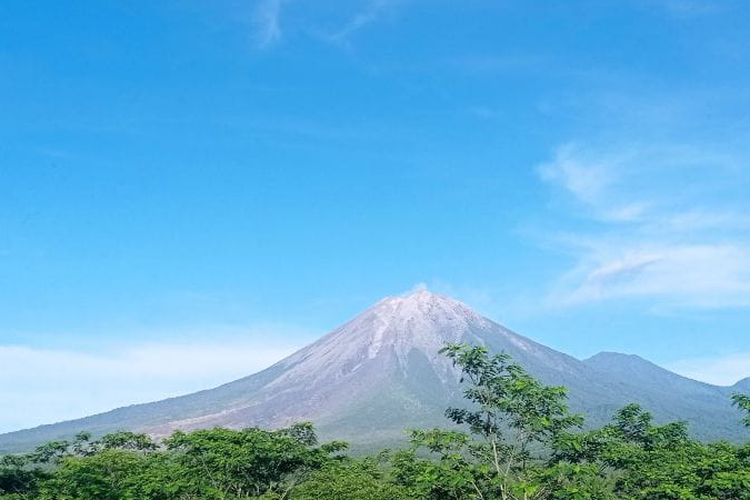 Penampakan Gunung Semeru pagi ini tampak cerah (19/12/2022)