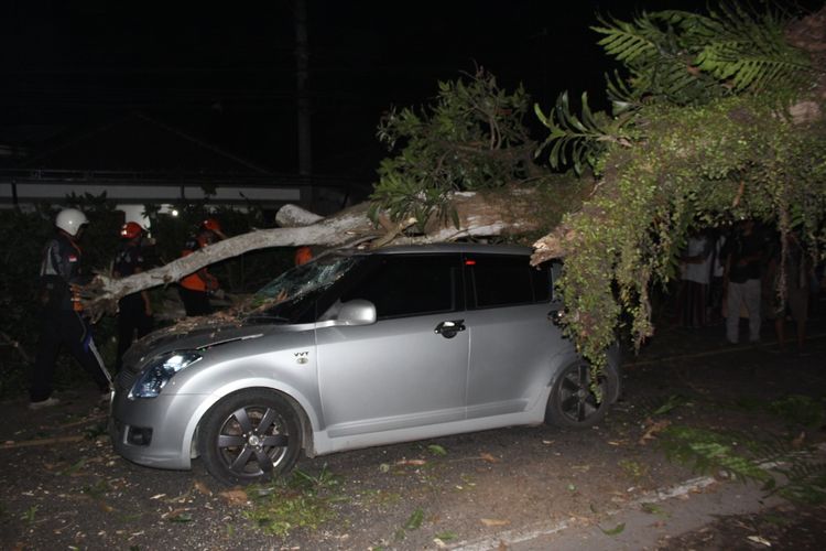 Mobil minibus ringsek tertimpa pohon saat tengah melaju di jalan, Selasa (4/10/2022) malam